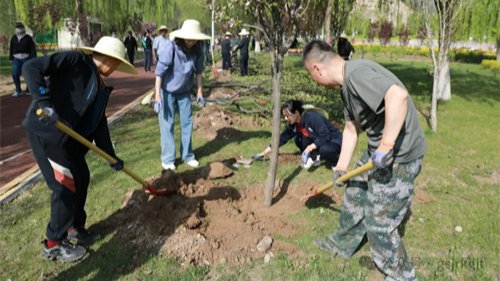 “植此青綠，共繪青山”——甘肅金控集團開展義務植樹活動